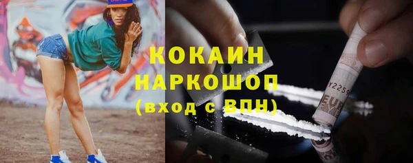 дживик Верея