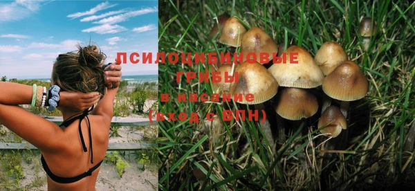 mdpv Верхний Тагил