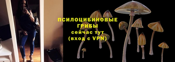 дживик Верея