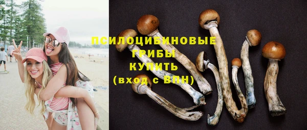 mdpv Верхний Тагил