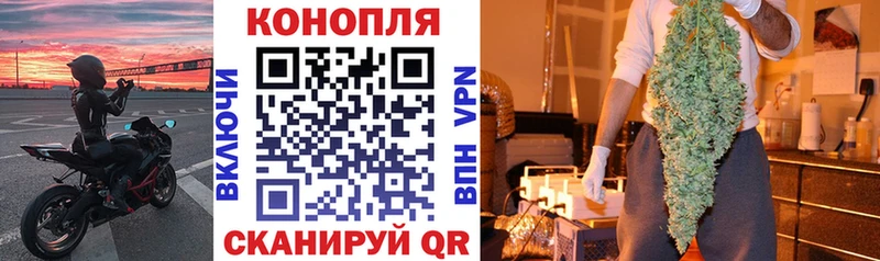 Бошки Шишки тримм  Купить  Прохладный 
